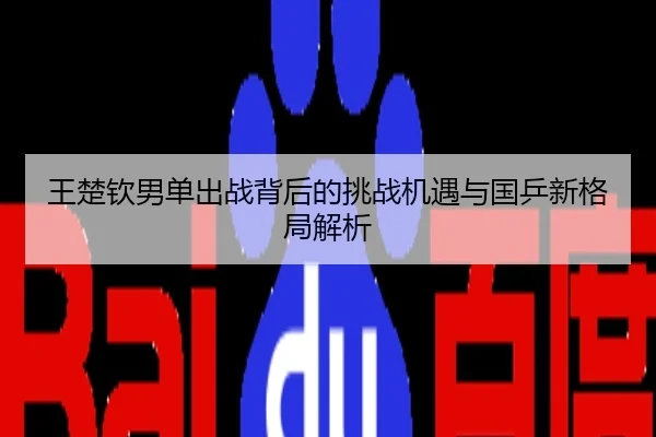 王楚钦男单出战背后的挑战机遇与国乒新格局解析