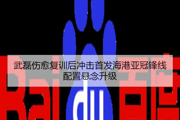 武磊伤愈复训后冲击首发海港亚冠锋线配置悬念升级